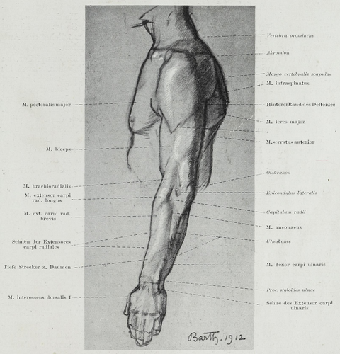 Arm Yue Chinese Meaning Of Arm